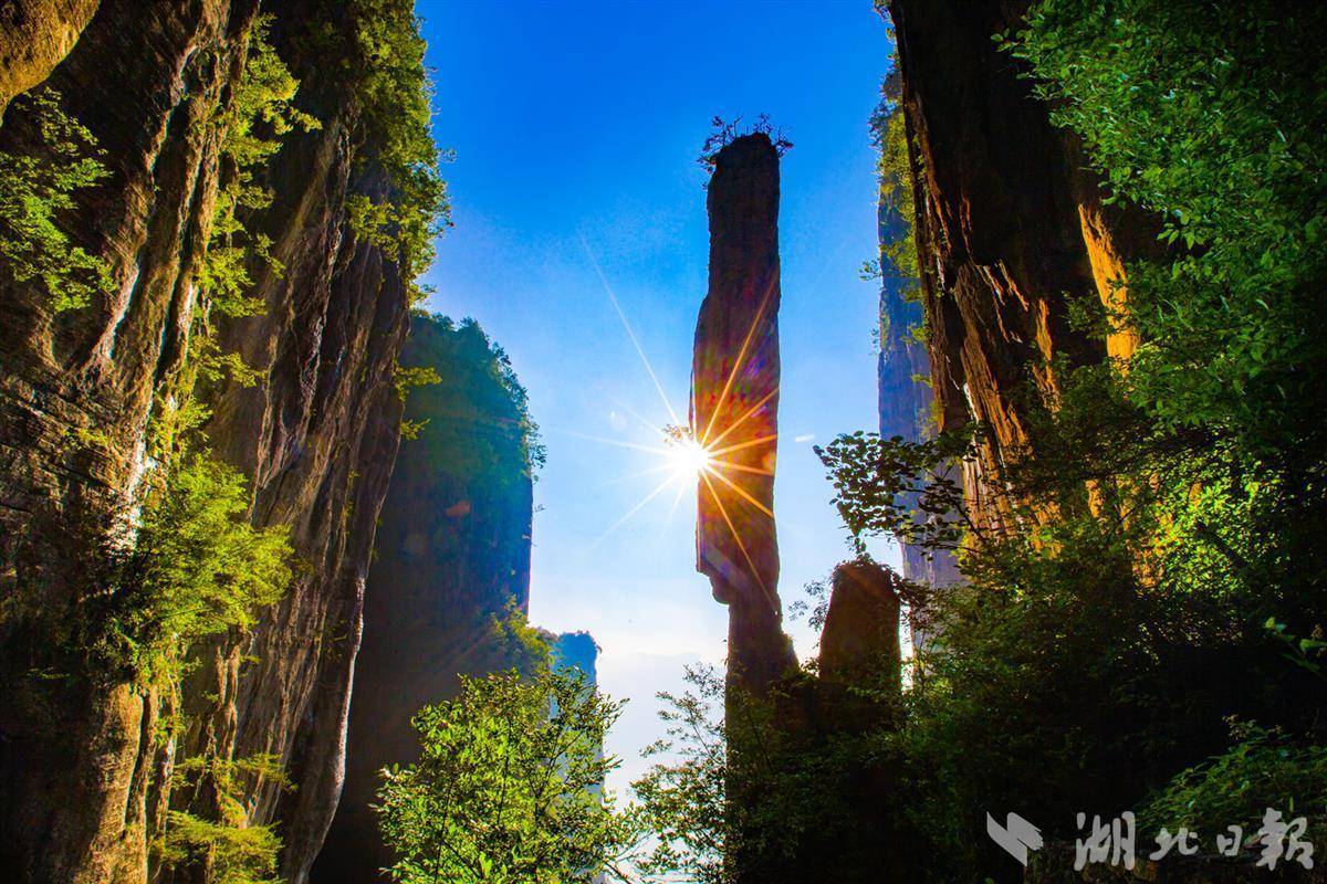 淘金大满贯下载